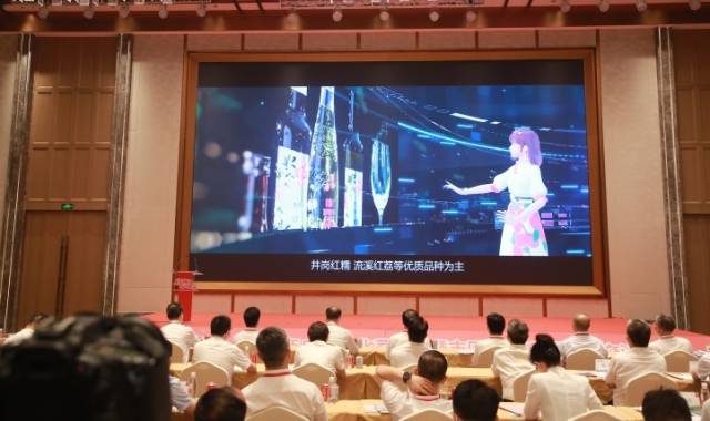 荔儿公主成为了从化农产品形象代言人的化身。 荔儿公主成为了从化农产品形象代言人的化身。