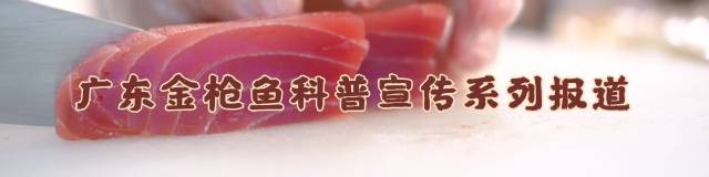 深夜食堂陈永全：日料金枪鱼用量占比达30%，刺身类最受欢迎