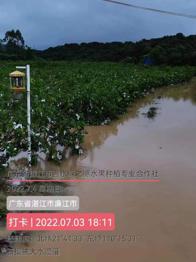 受访者供图