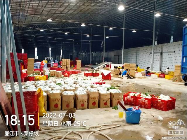 农户将抢收下来的番石榴存放在冷库里。受访者供图
