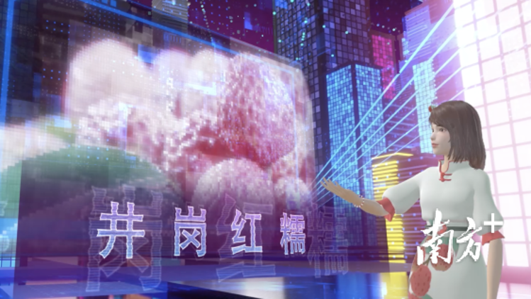 会玩！国内首场荔枝元宇宙虚拟直播从化开播