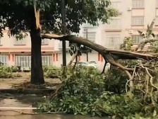暴雨预警升级为橙色！阳春一镇3000亩农田受灾
