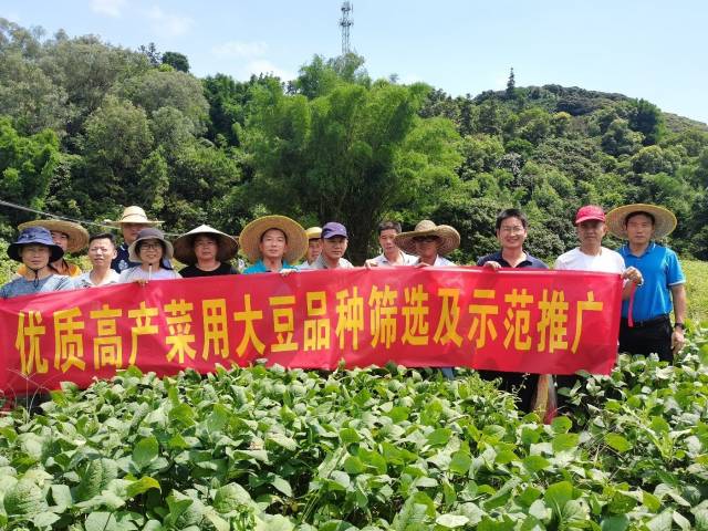 优质高产菜用大豆品种筛选和示范推广观摩会广州从化举办