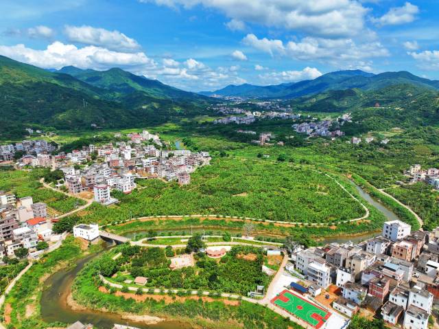 走进高州十大美丽乡村④| 皇帝蕉打通山区致富路，谢鸡镇连桥村党建引领特色产业发展