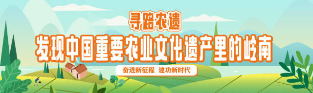 寻路农遗｜陈厚彬：坚韧不拔的荔枝精神，是岭南人文精神的一部分