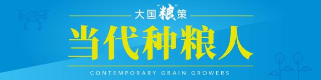 罗新辉：田间连车间 好米抬“身价”
