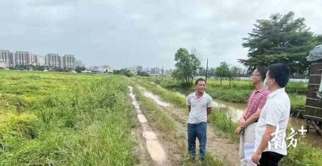 为农户排忧解难，南沙区农业农村局全力做好台风防御工作