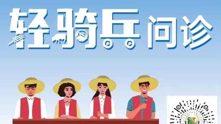 轻骑兵问诊⑩ | 机收倒伏水稻注意沿相反方向