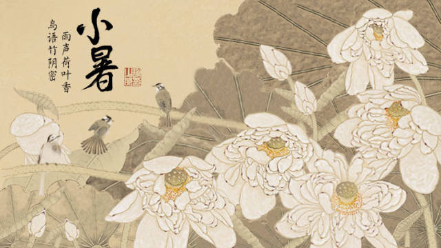 看~这是你的夏、雨、荷