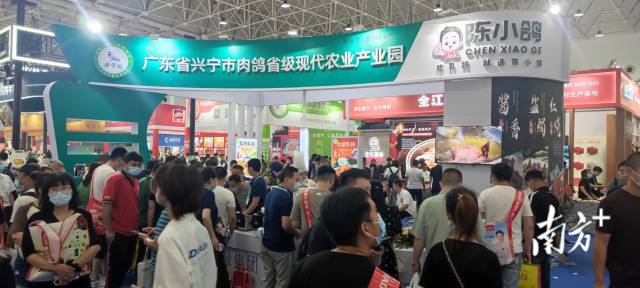 红烧、盐焗、酱香、香辣......兴宁肉鸽入鄂展出，定有一款产品适合你