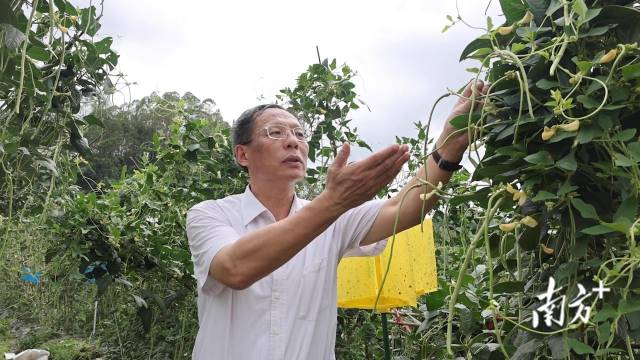 华南农业大学教授徐汉虹