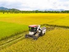 权威访谈 | 刘棕会：全力以赴投身乡村振兴宏伟事业