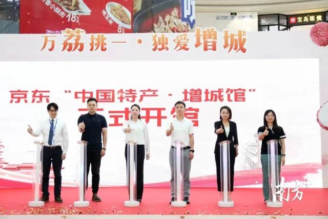 增城区举办“火‘荔’全开”增城荔枝推介活动