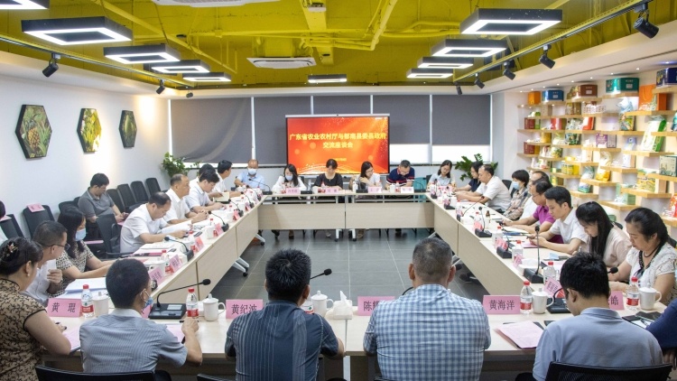 水果界“三好学生”是它！郁南无核黄皮蓄力晋级国际果