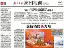 荔枝销售新力量|《南方日报·高州视窗》65期