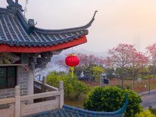 文化潮州 向高而行|一文速览《南方日报·潮州观察》第93期