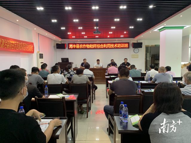 变废为宝！广东海丰持续探索秸秆还田新模式
