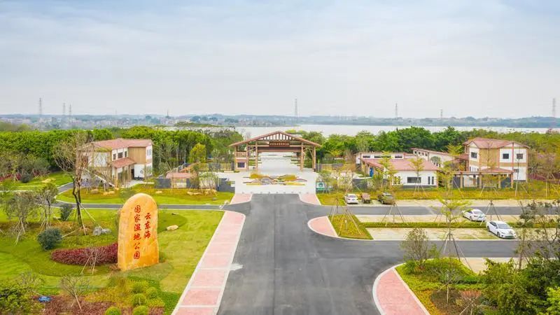 三水云东海生物港崛起大湾区生物医药新增长极