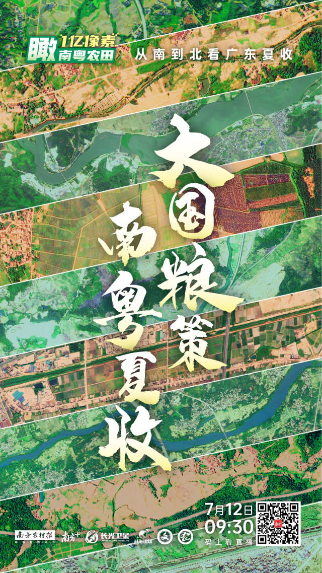 南方农村报 樊静东 制图