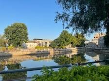 走出全面推进乡村振兴的“广东路径”