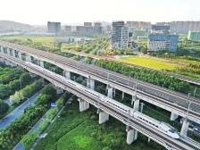 活力香港为粤港澳大湾区建设注入强劲动能