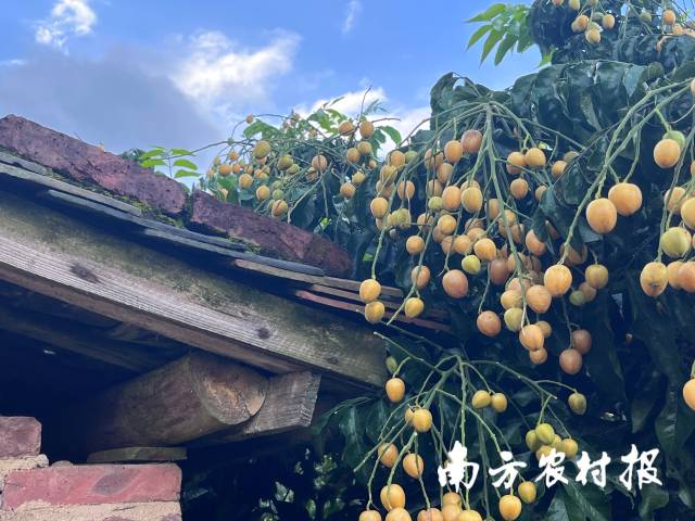 受访者供图