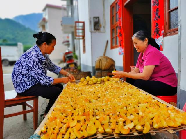 乐昌九峰镇正走出一条乡村产业旺起来的振兴之路。（陈爱明 摄）