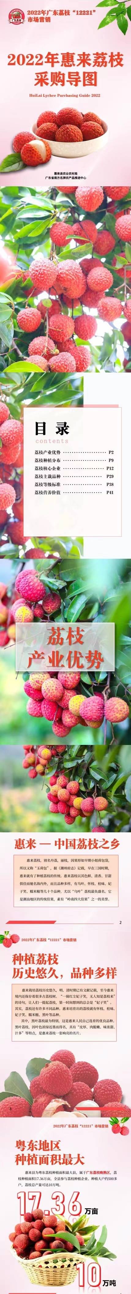 惠来荔枝正当时！2022年惠来荔枝采购导图发布