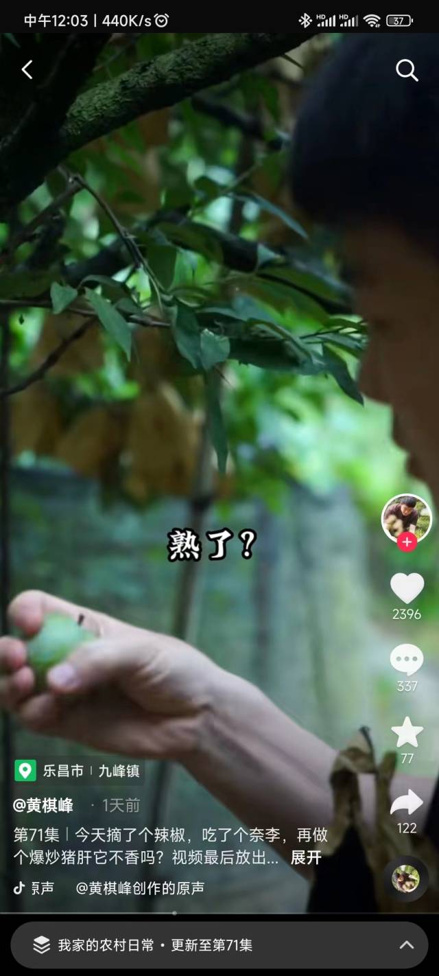 黄棋峰在短视频中宣传乐昌黄金柰李。
