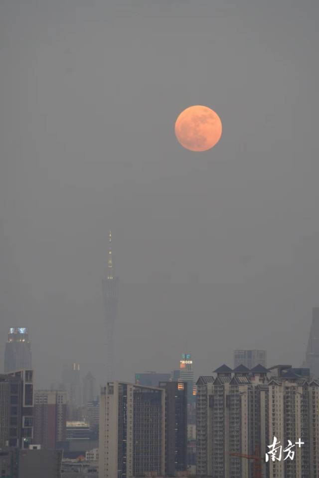 南方+ 董天健 拍摄