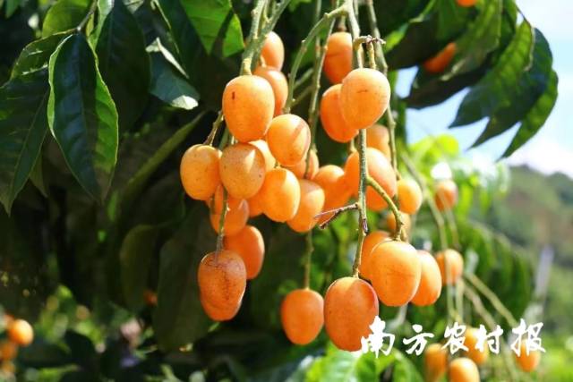 受访者供图