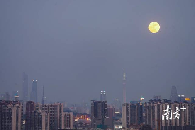 南方+ 董天健 拍摄