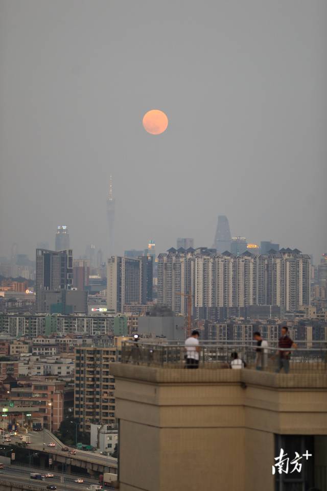 南方+ 董天健 拍摄