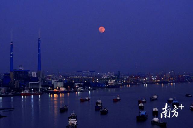 广州黄埔月升。南方拍客 秋实 摄