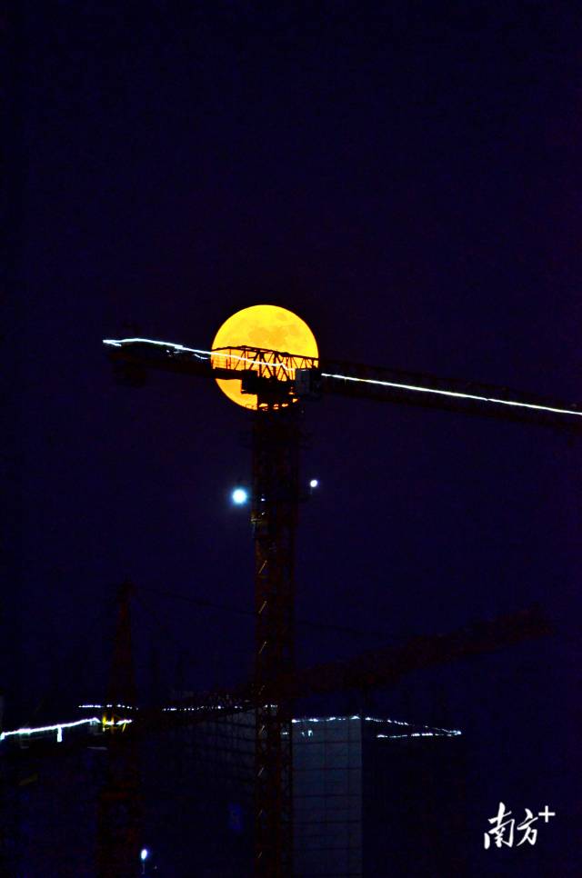 南方拍客 秋实 摄