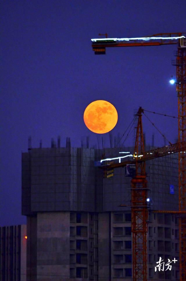 南方拍客 秋实 摄