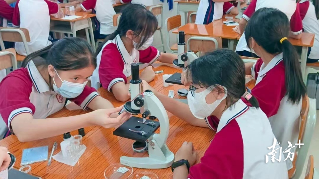 岑永龙 摄 岑永龙 摄