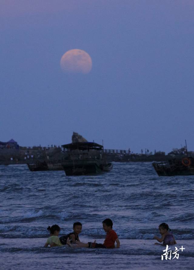茂名市电白区澳内海月升童趣。南方拍客 阿响 摄