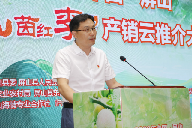 线上线下齐发力，屏山茵红李热销正当时