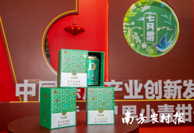 “侨宝”的小青柑茶产品“七月果”7.0版。柯学潜 摄 “侨宝”的小青柑茶产品“七月果”7.0版。柯学潜 摄