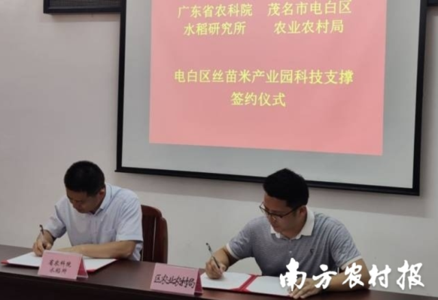 签约仪式。