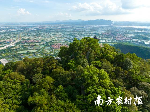 佛山南海西樵山。 吳秒衡 攝