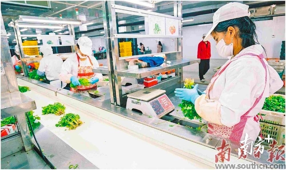 南方+ 王昌辉 拍摄