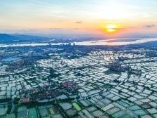 寻路农遗丨广东佛山珠三角基塘农业系统，水陆互养绘就岭南千年和谐图景