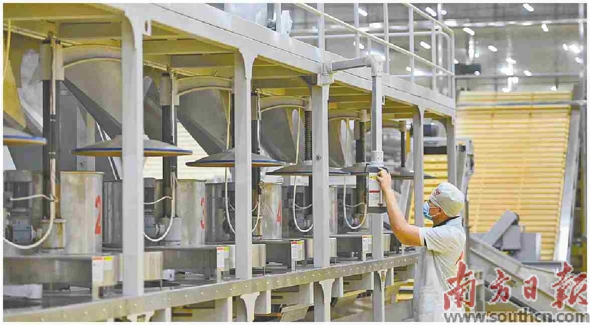 清远茶叶科技创新举措，为清远茶叶产业提供巨大“加速度”。图为英九庄园现代化生产线。