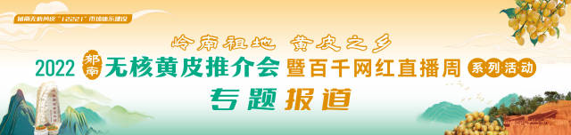 藏在广东的小众水果，为啥郁南才是黄皮中的“南方限定”