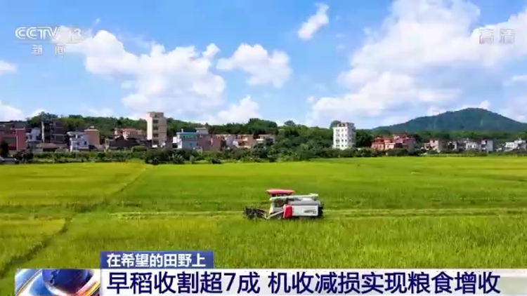 视频 | 广东早稻收割超七成  机收减损实现粮食增收