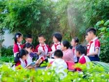 最新！端州小学一年级积分入学进入资料审核确认环节