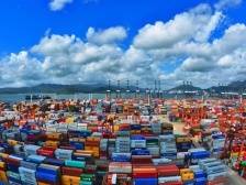 杨阿洋快评：半年报里的关键词get了吗