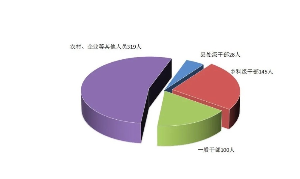 全市纪检监察机关处分人员按职级划分图。 全市纪检监察机关处分人员按职级划分图。